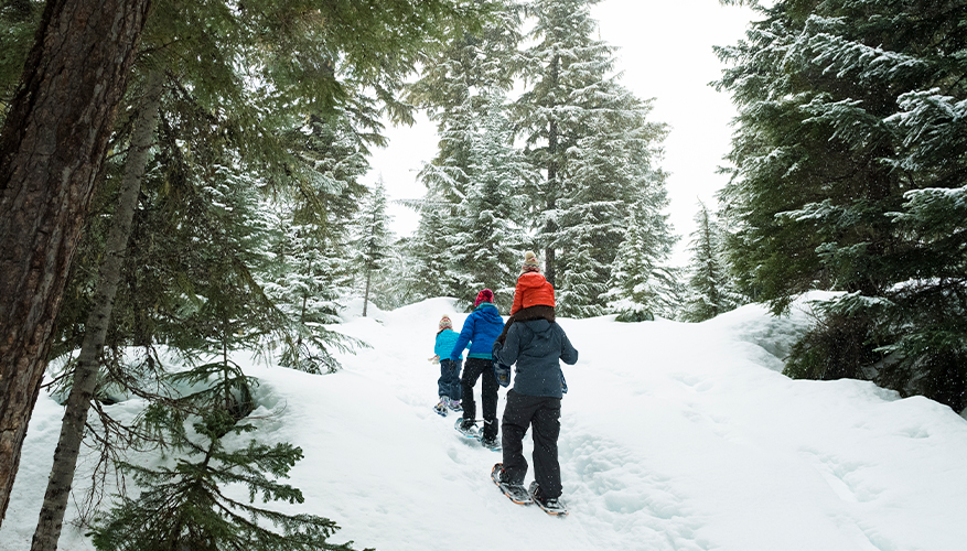 Snowshoeing, Canada